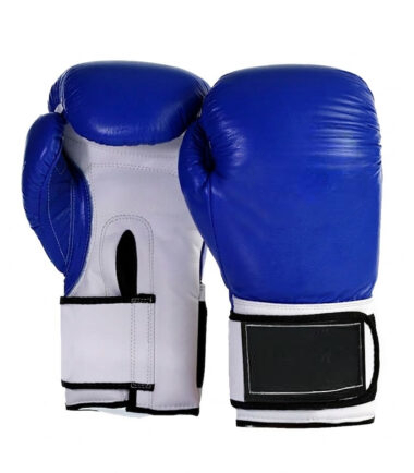 Boxing Glove